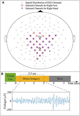 Wavelet Entropy-Based Inter-subject Associative Cortical Source Localization for Sensorimotor BCI